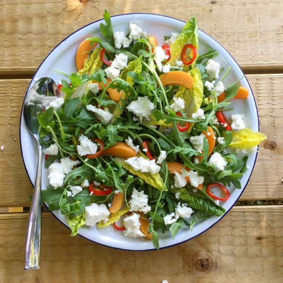 Wedding Catering Cornwall3